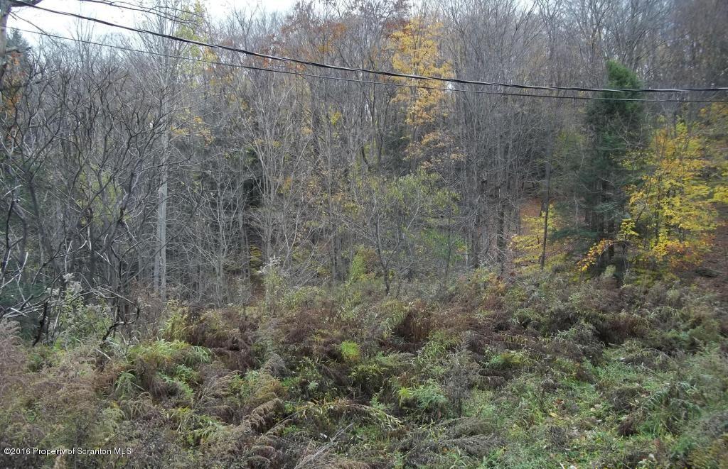 1082 Campsite Road Thompson, PA 18465 - Photo 13 of 14 Gallery Image 13