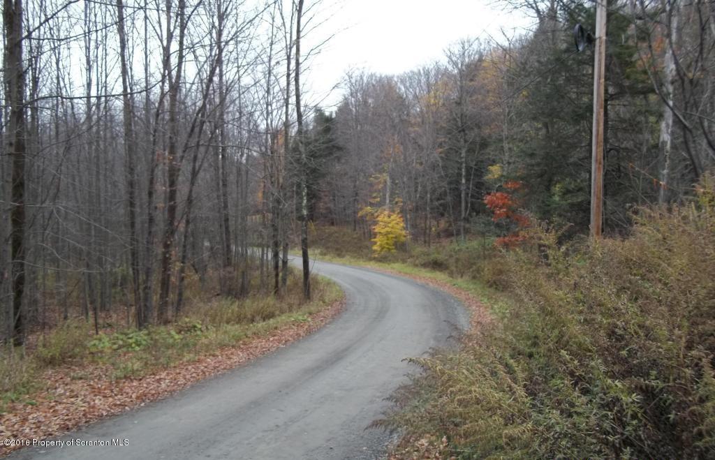 1082 Campsite Road Thompson, PA 18465 - Photo 14 of 14 Gallery Image 14