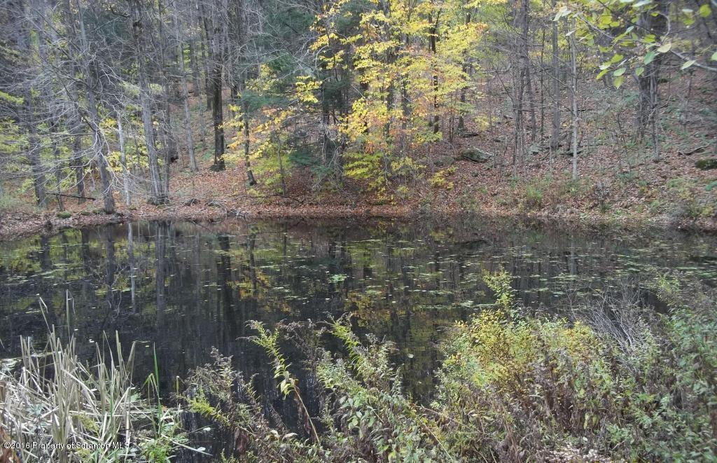 1082 Campsite Road Thompson, PA 18465 - Photo 2 of 14 Gallery Image 2