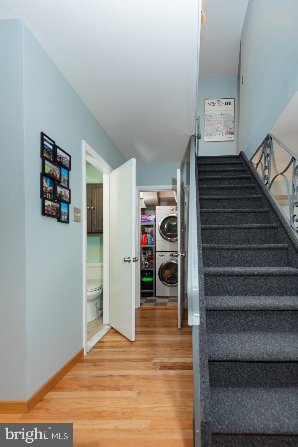 244 Ripka Street Philadelphia, PA 19127 - Photo 18 of 49