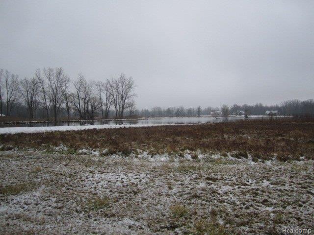 79775 Tory Circle Romeo, MI 48065 - Photo 18 of 22 View of Lake Arianna off Erins W