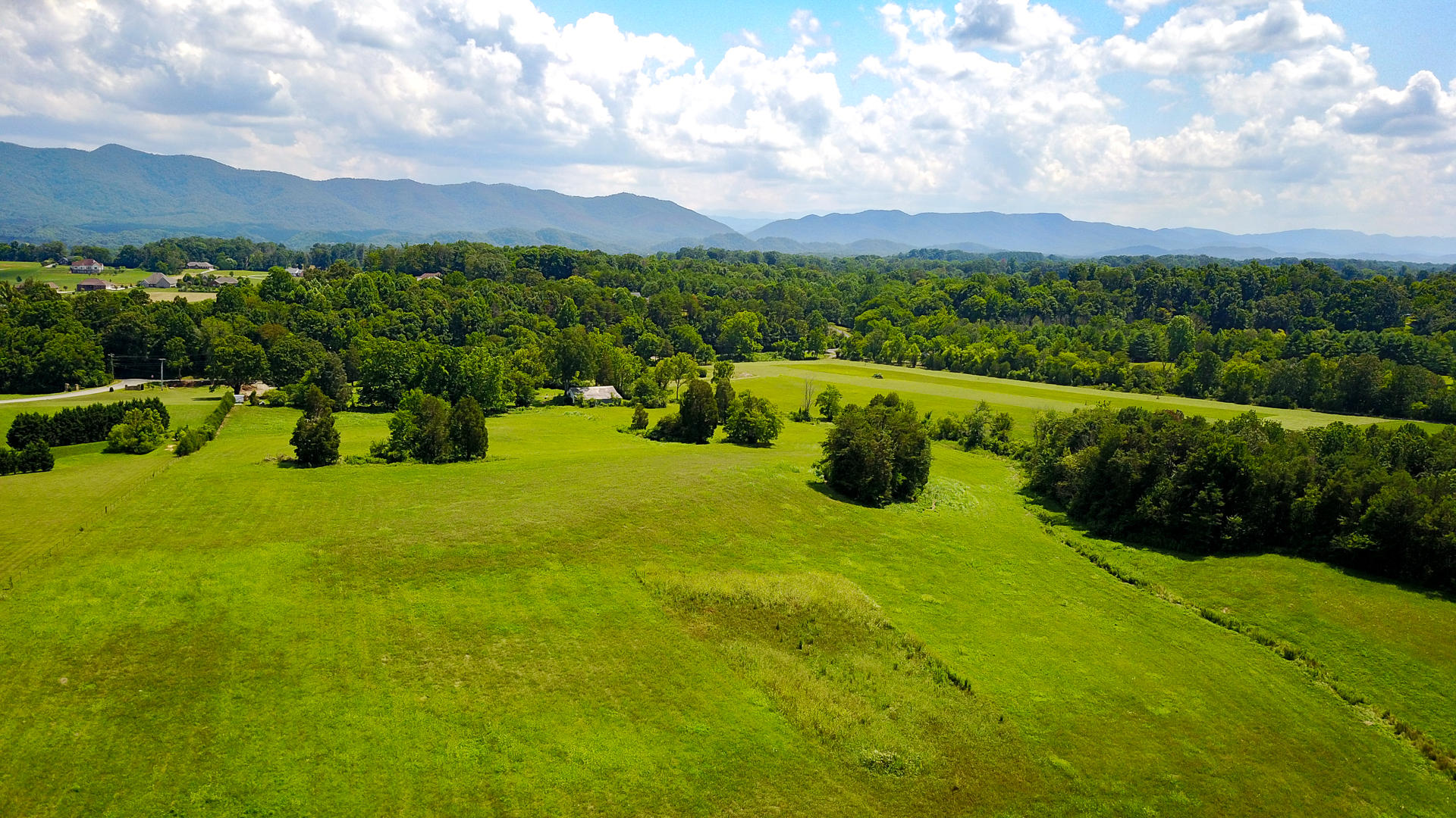 Doc Norton Road Walland, TN 37886 - Photo 12 of 18 DSC_1003-4