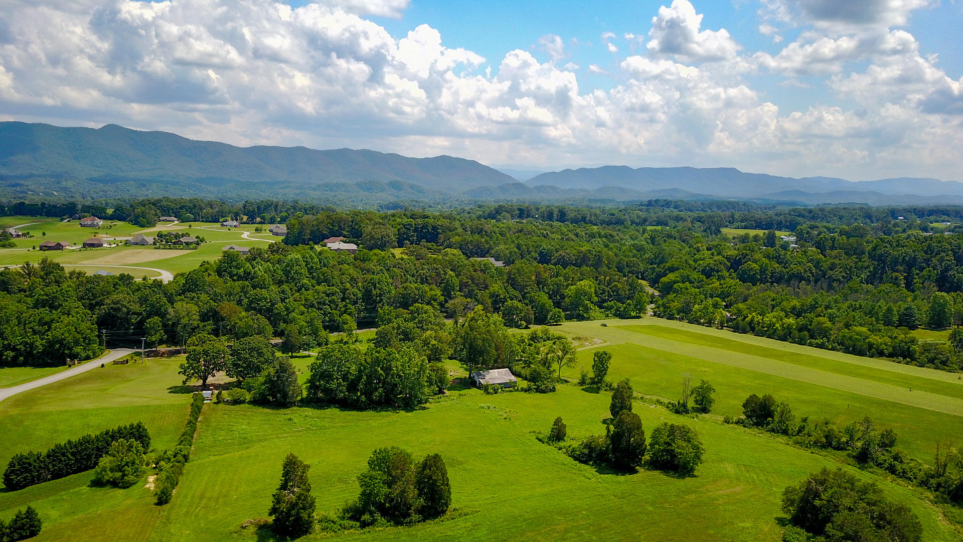 Doc Norton Road Walland, TN 37886 - Photo 14 of 18 DSC_1003-6