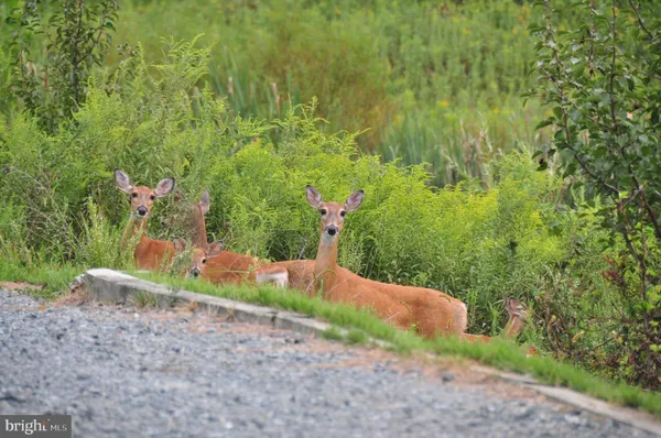 $5,000 | 14008 Loblolly Terrace, Rockville, MD 20850