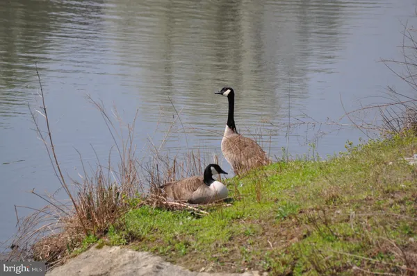 $5,000 | 14008 Loblolly Terrace, Rockville, MD 20850