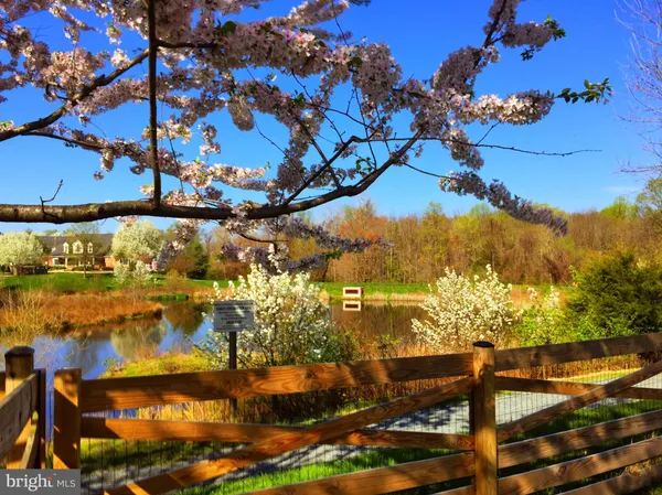 $5,000 | 14008 Loblolly Terrace, Rockville, MD 20850