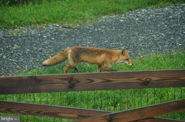 $5,000 | 14008 Loblolly Terrace, Rockville, MD 20850