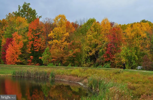 $5,000 | 14008 Loblolly Terrace, Rockville, MD 20850