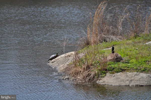 $5,000 | 14008 Loblolly Terrace, Rockville, MD 20850