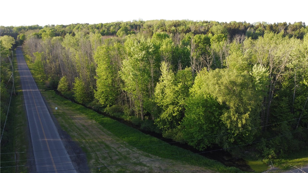 4482 Cory Corners Road Marion, NY 14505 - Photo 37 of 47