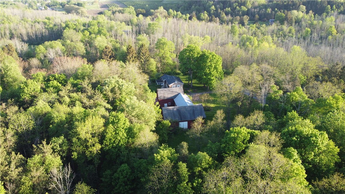 4482 Cory Corners Road Marion, NY 14505 - Photo 45 of 47