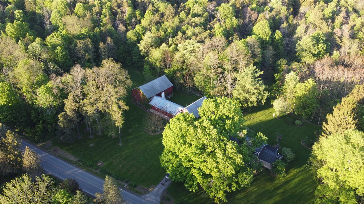 4482 Cory Corners Road Marion, NY 14505 - Photo 46 of 47