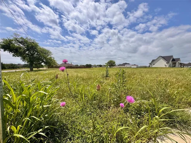 a view of a field with an tree and plants in front of it