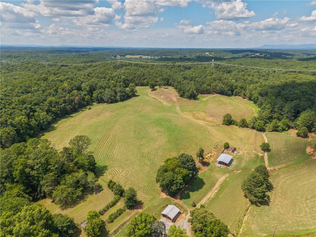 0 Mt Pleasant Road Northeast Fairmount, GA 30139 - Photo 3 of 35