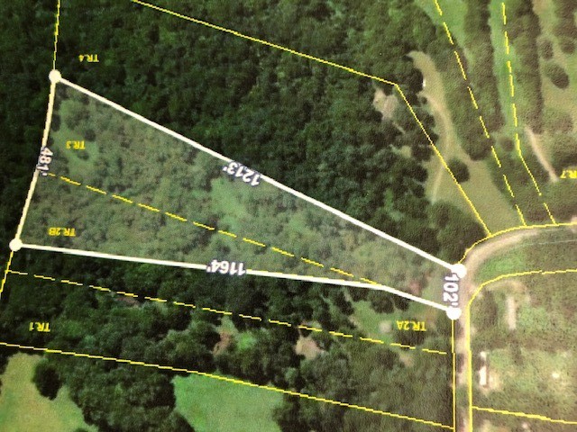 4469 Stockard Road Culleoka, TN 38451 - Photo 3 of 4 Gallery Image 3