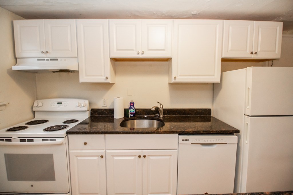 95 Chestnut Street, Unit 1B Brookline, MA 02445 - Photo 5 of 8