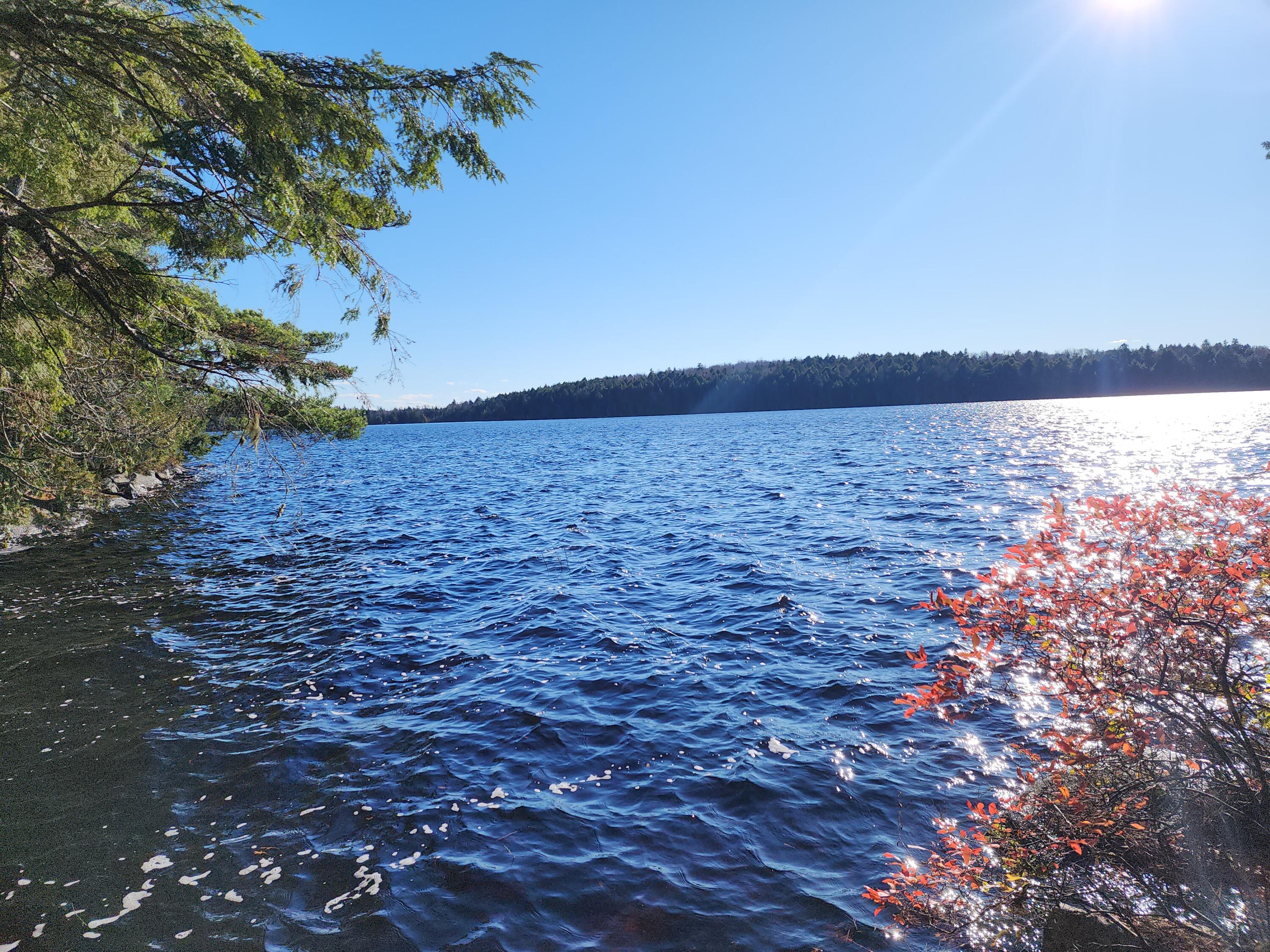 0 Patrick Lake Road East Machias, ME 04630 - Photo 1 of 8 20231102_143002