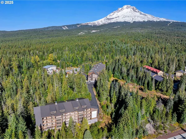 $875,000 | 31254 East Collins Lake Road, Unit 22, Government Camp, OR 97028