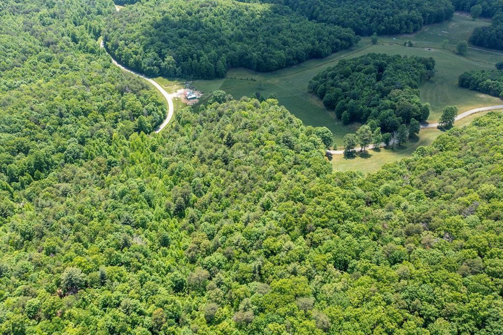 42 Donley Road Murphy, NC 28906 - Photo 2 of 17 Gallery Image 2