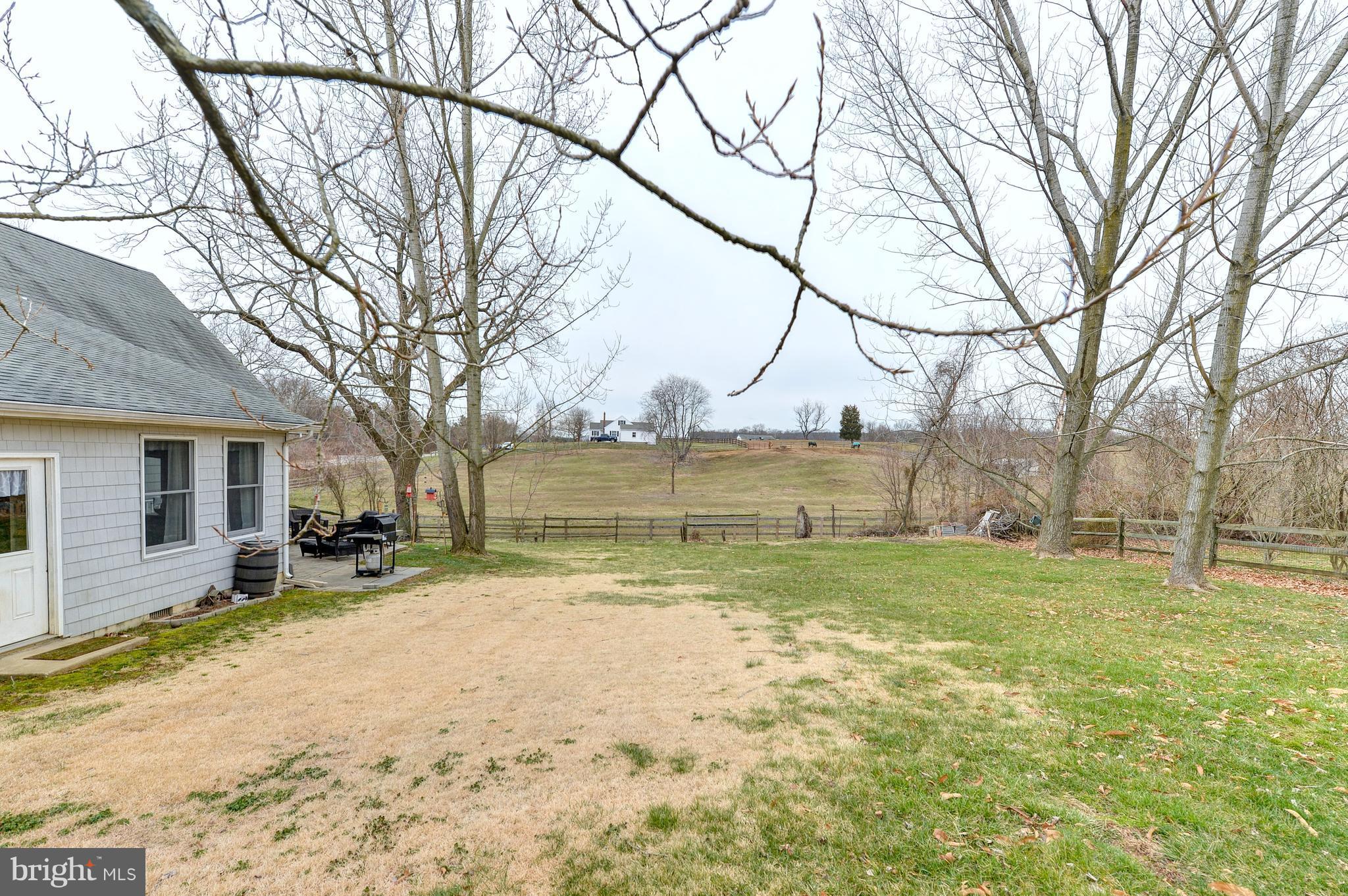 1307 Oldfield Point Road Elkton, MD 21921 - Photo 24 of 27 REAR YARD