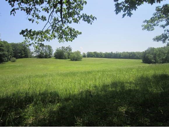 70-71 Hoisington Road Weathersfield, VT 05151 - Photo 34 of 36