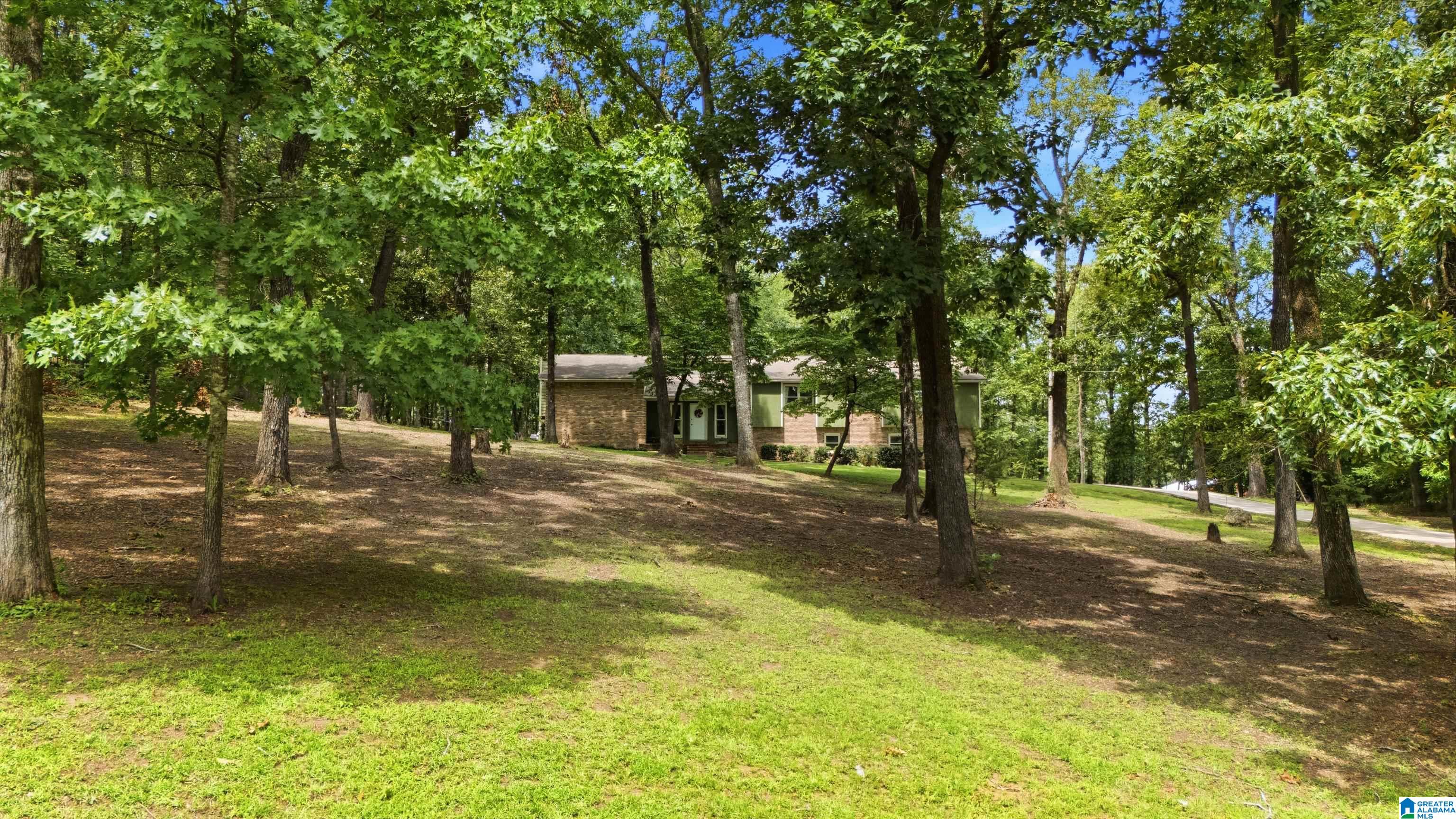231 Country Ridge Road Montevallo, AL 35115 - Photo 60 of 60