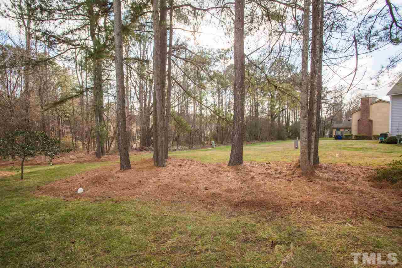 6705 Twin Tree Court Raleigh, NC 27613 - Photo 18 of 20 Common area in the back - lots of room to roam and play!