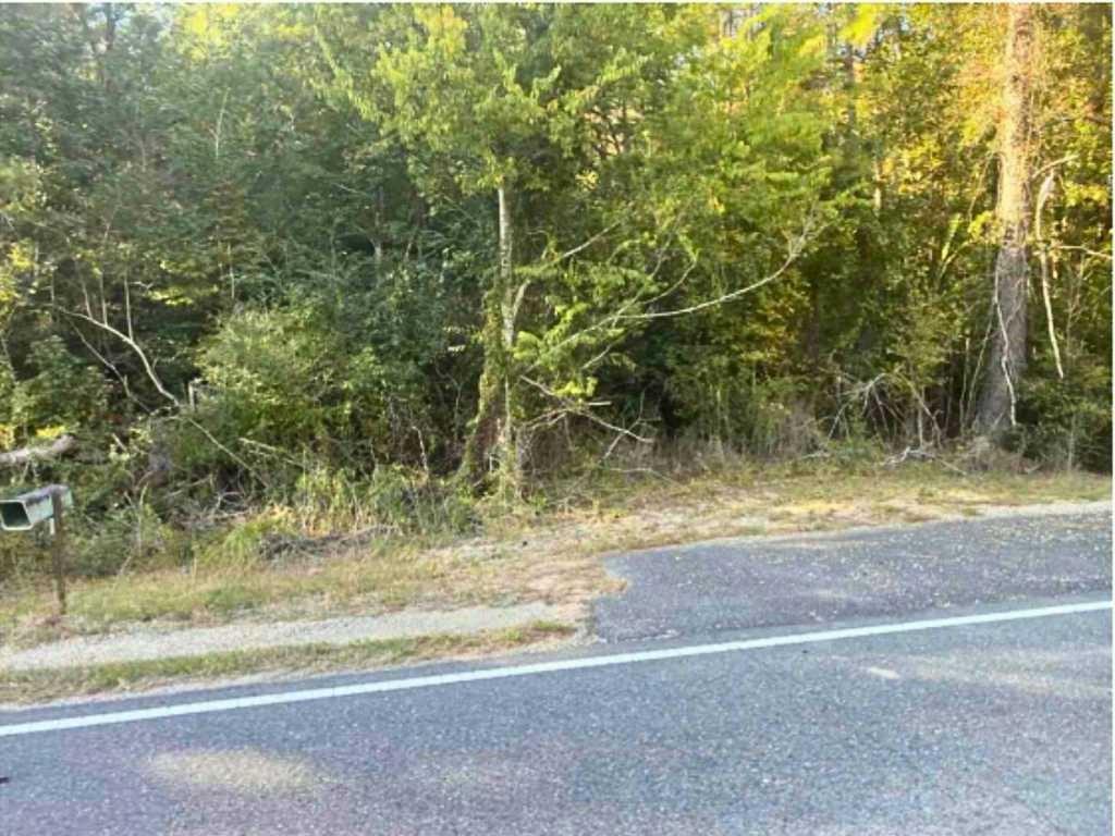 24075 Blood River Road Springfield, LA 70462 - Photo 2 of 4