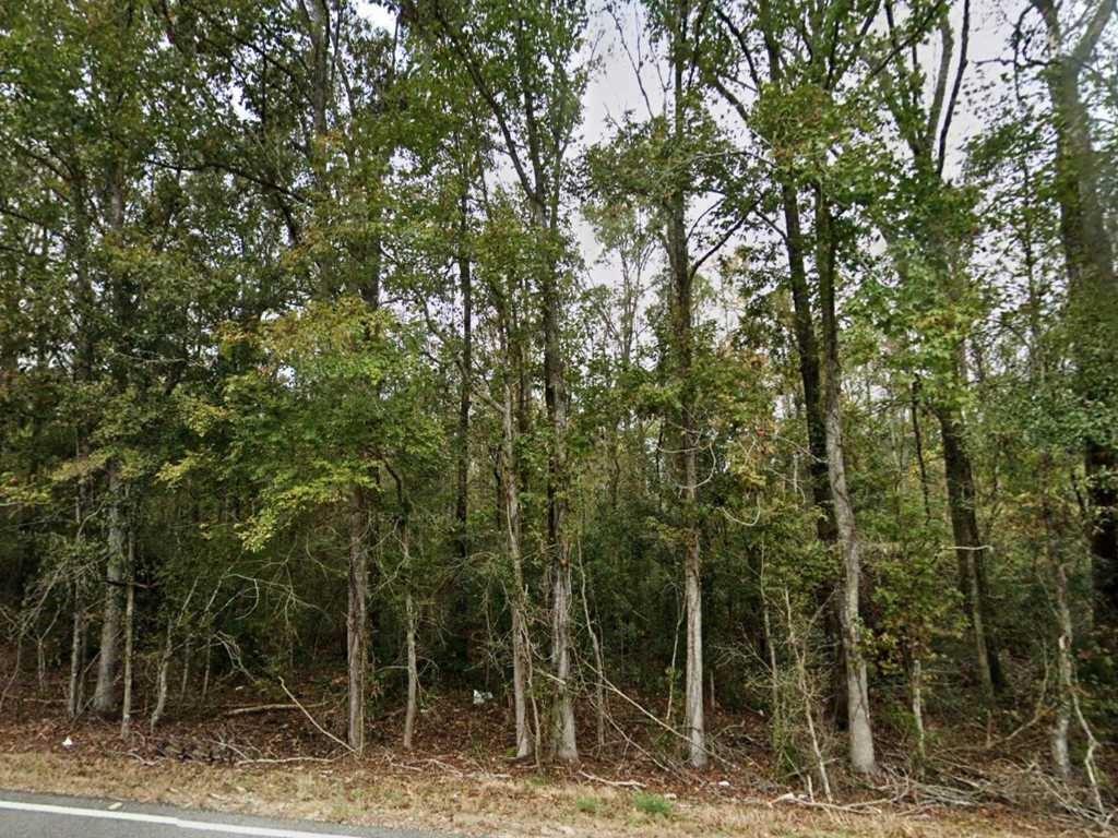 24075 Blood River Road Springfield, LA 70462 - Photo 3 of 4