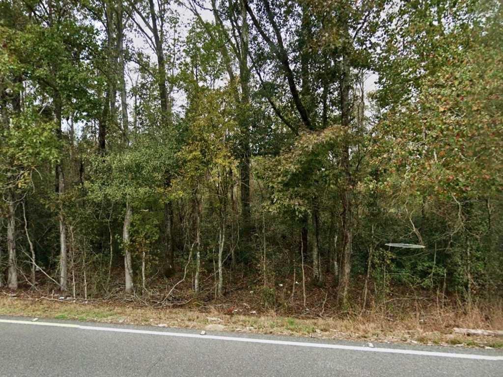 24075 Blood River Road Springfield, LA 70462 - Photo 4 of 4