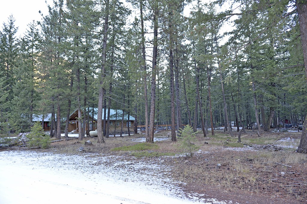 Gallery Image 7