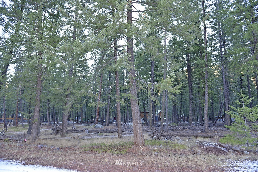 0 Moate Road Mazama, WA 98833 - Photo 8 of 9 Gallery Image 8