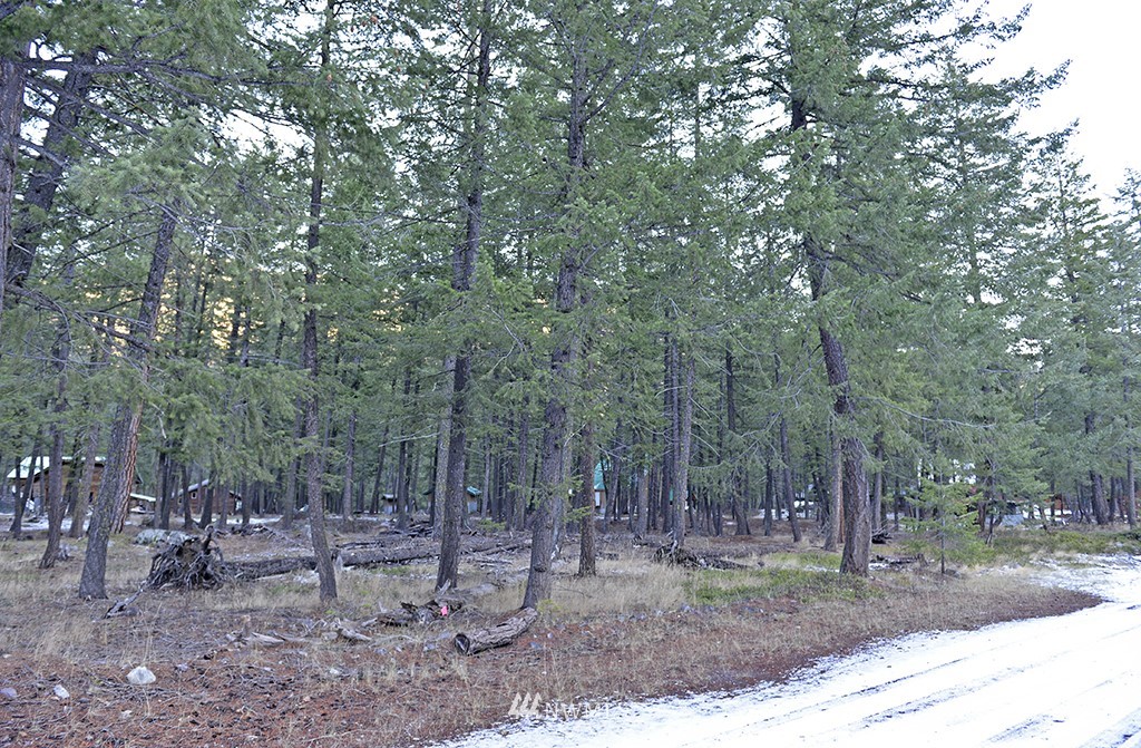 0 Moate Road Mazama, WA 98833 - Photo 9 of 9 Gallery Image 9