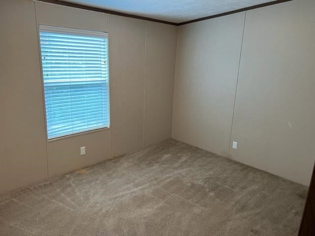 31184 Joe Hughes Road Andalusia, AL 36421 - Photo 21 of 50 Gallery Image 21