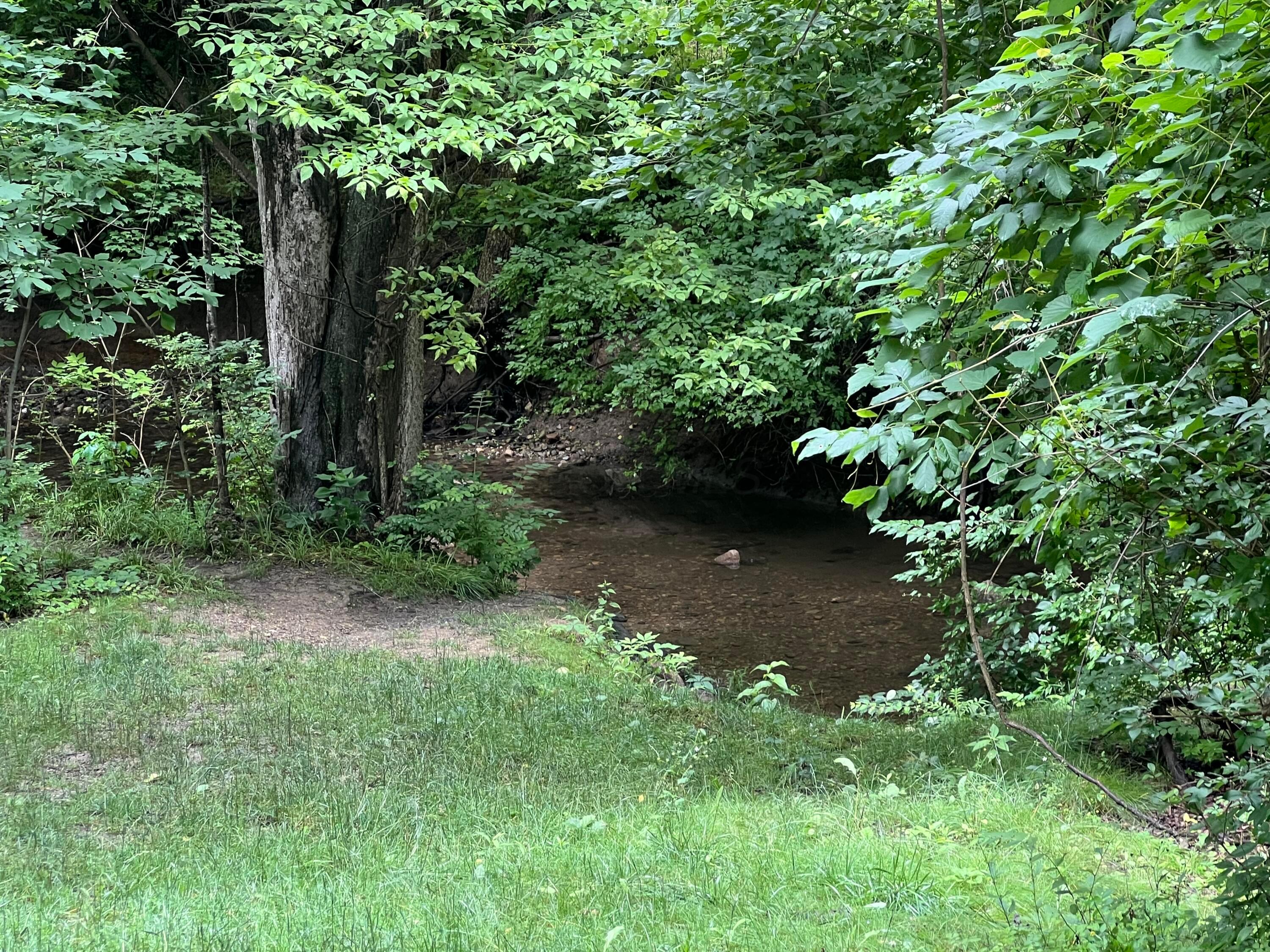 65 Old County Line Road Westerville, OH 43081 - Photo 27 of 37 IMG_1992 2
