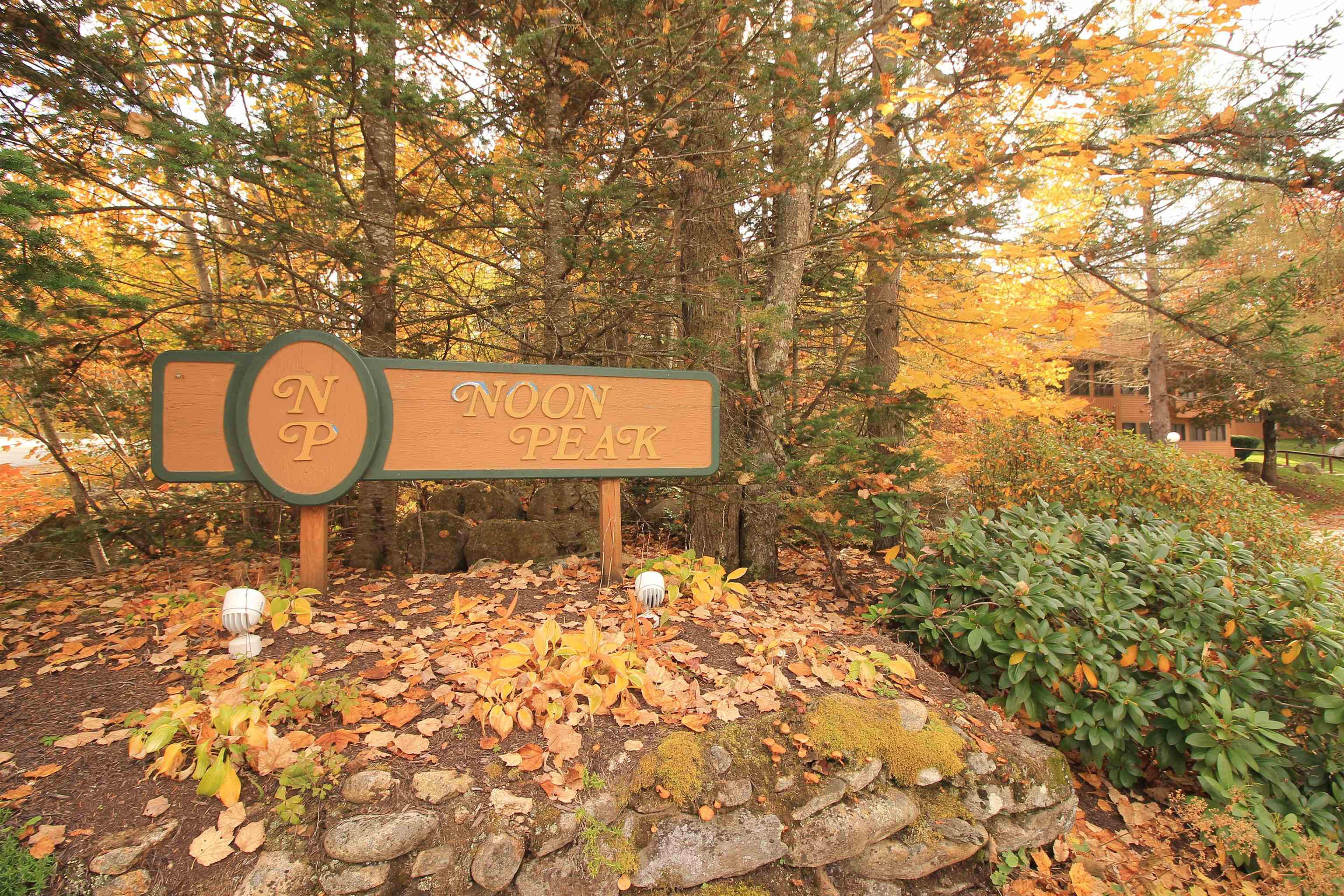 22 Hillside Way, Unit I4 Waterville Valley, NH 03215 - Photo 29 of 29
