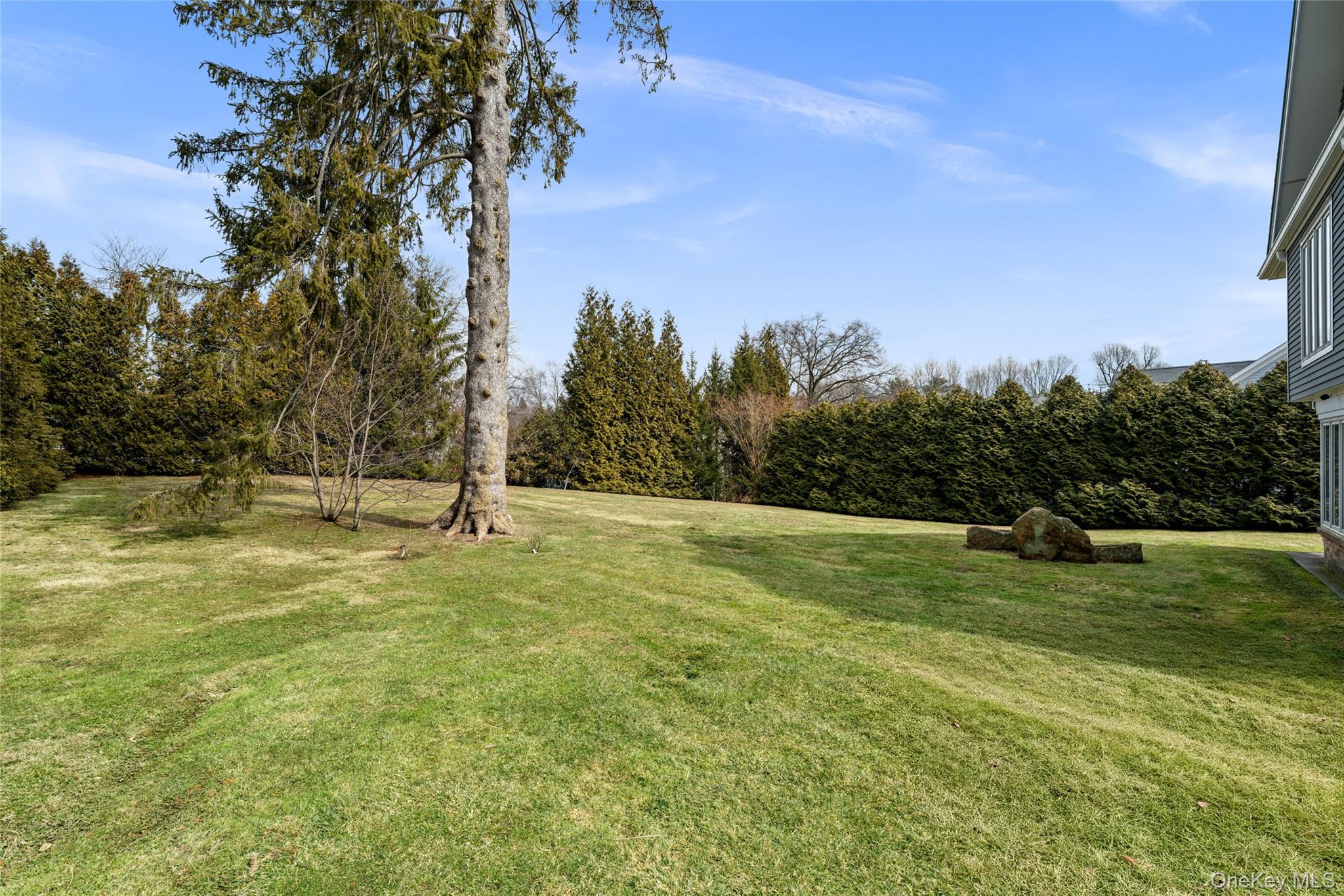 239 Sunny Ridge Road Harrison, NY 10528 - Photo 29 of 33 a view of a park with large trees