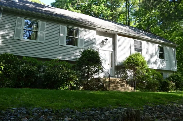 a view of a backyard with plants and large trees