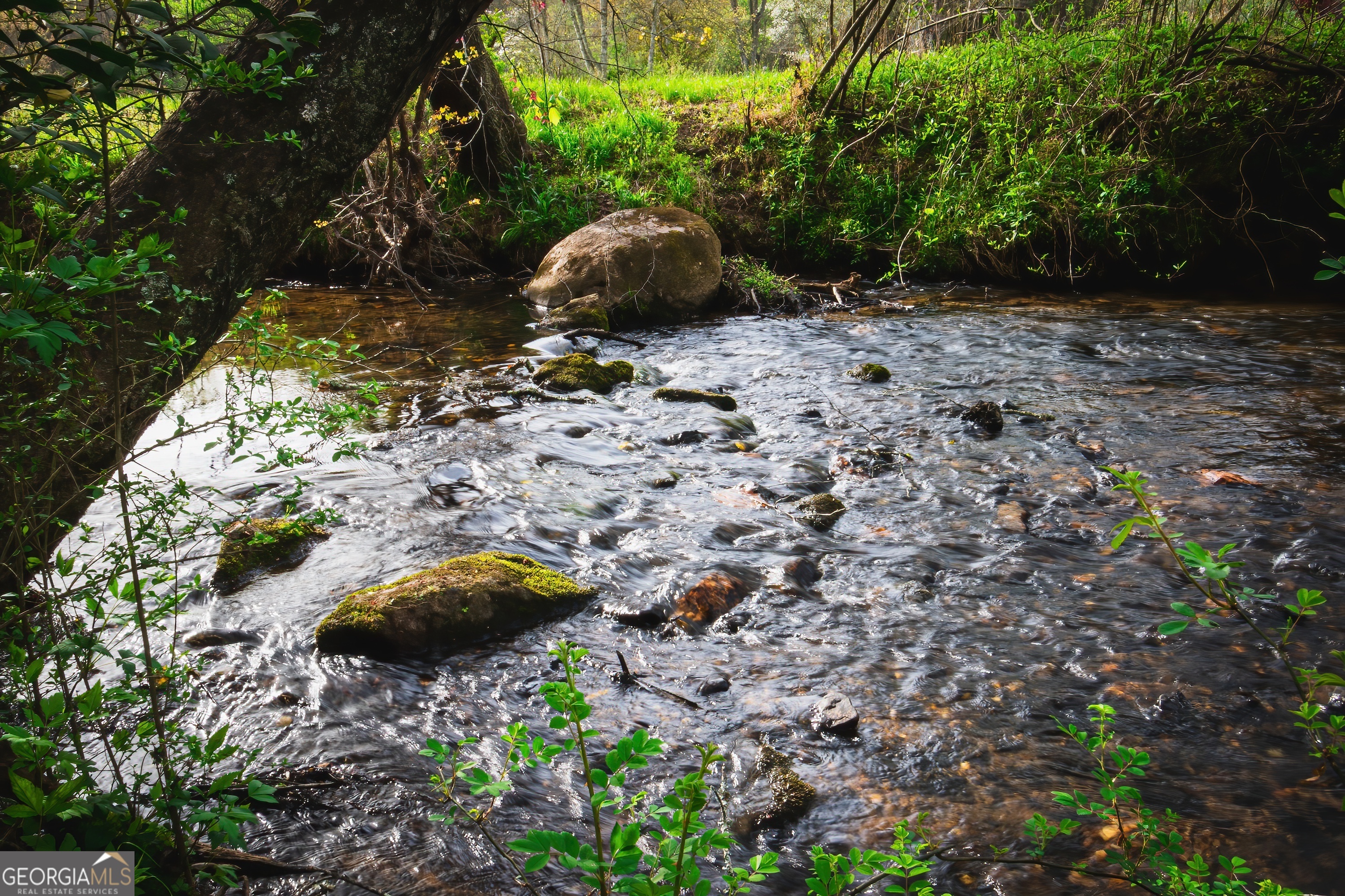 742 Beaver Run Road, Unit 16 Blairsville, GA 30512 - Photo 4 of 43