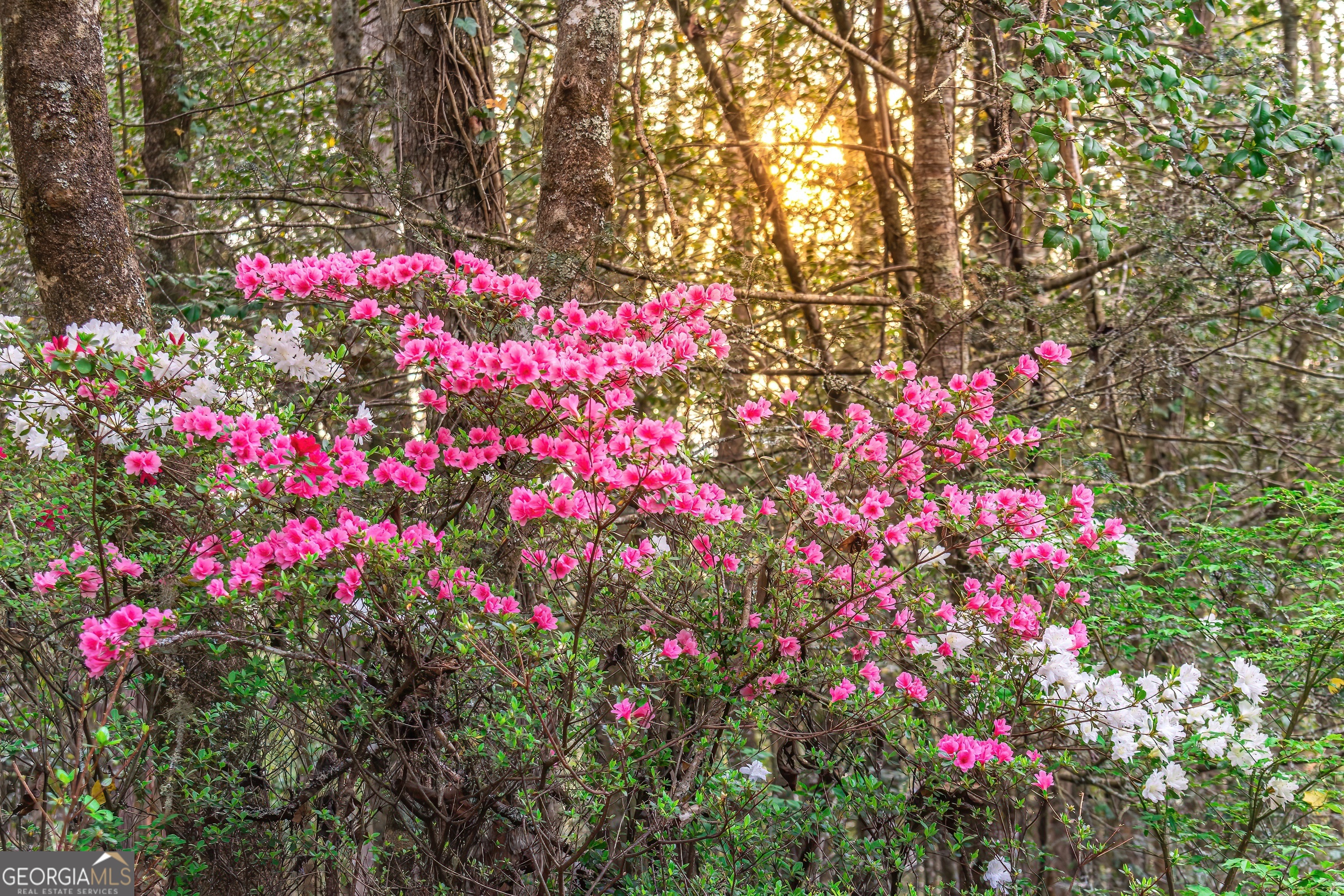 742 Beaver Run Road, Unit 16 Blairsville, GA 30512 - Photo 5 of 43