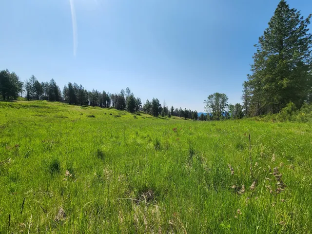 $640,000 | Xxx Hall Creek Road, Inchelium, WA 99138