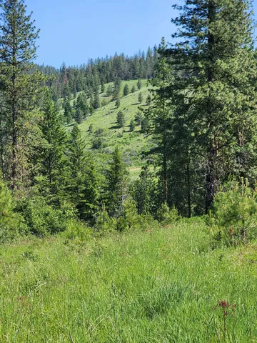 $640,000 | Xxx Hall Creek Road, Inchelium, WA 99138