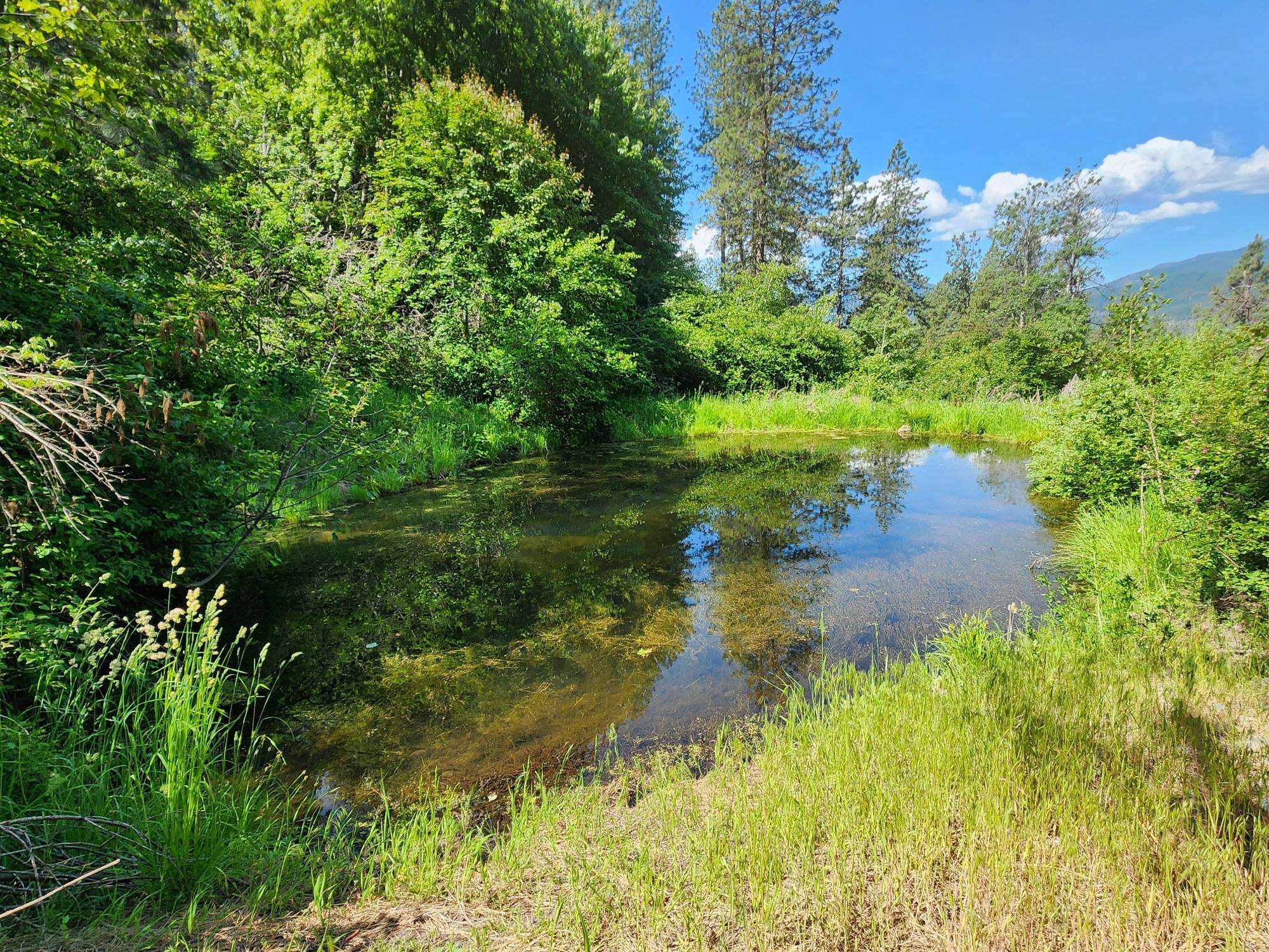 Xxx Hall Creek Road Inchelium, WA 99138 - Photo 17 of 22
