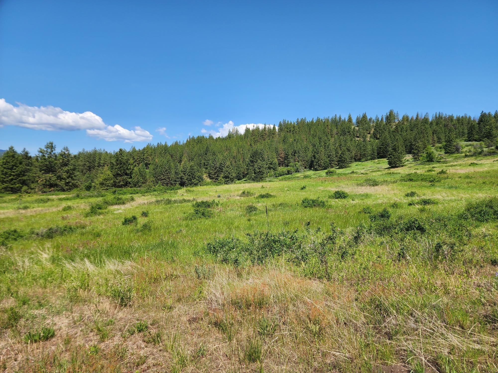 Xxx Hall Creek Road Inchelium, WA 99138 - Photo 18 of 22