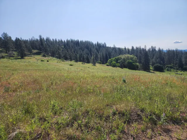 $640,000 | Xxx Hall Creek Road, Inchelium, WA 99138