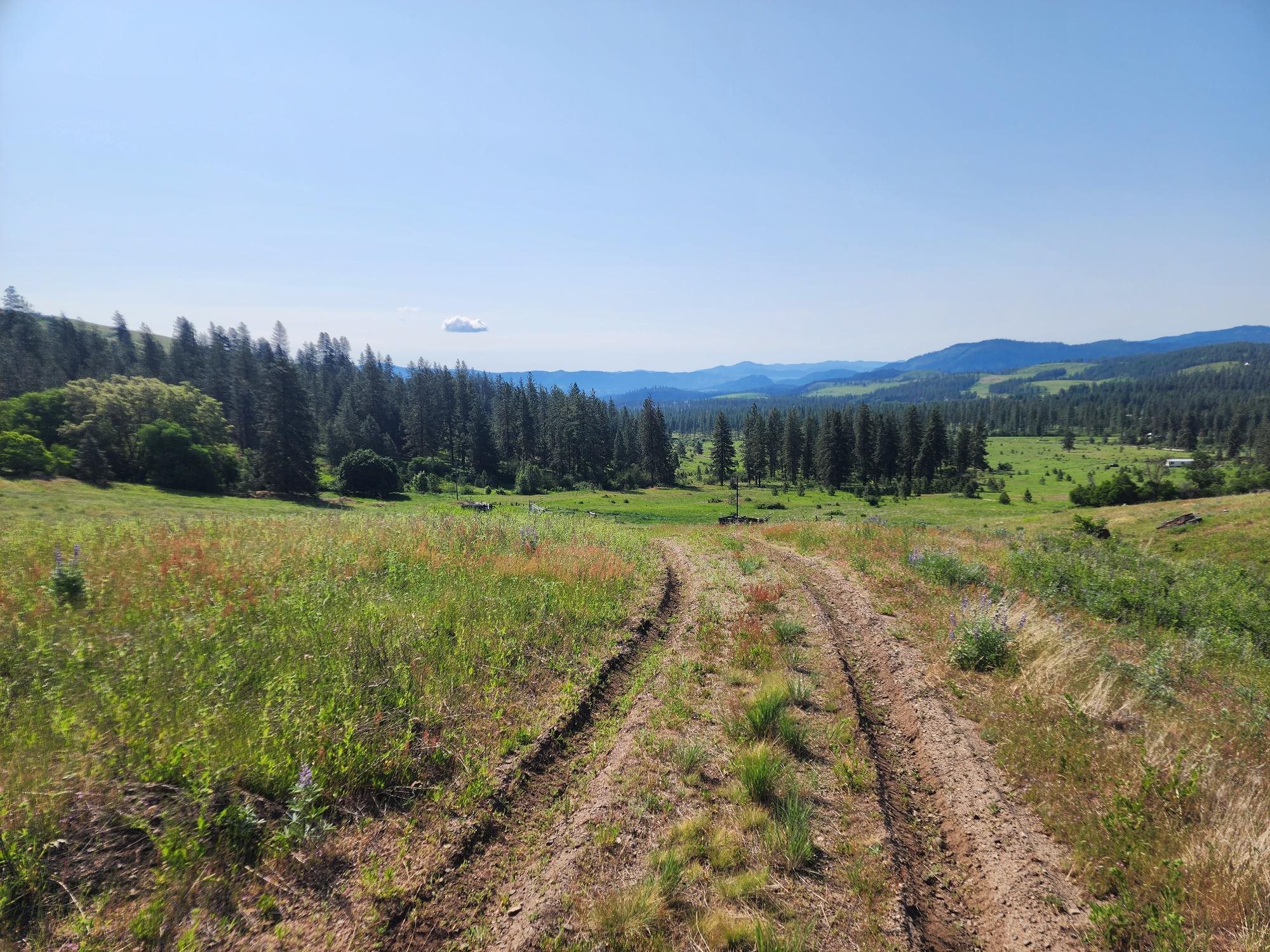 Xxx Hall Creek Road Inchelium, WA 99138 - Photo 5 of 22