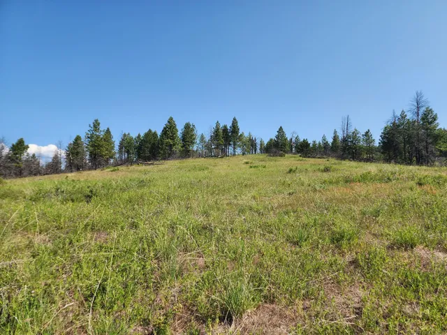 $640,000 | Xxx Hall Creek Road, Inchelium, WA 99138