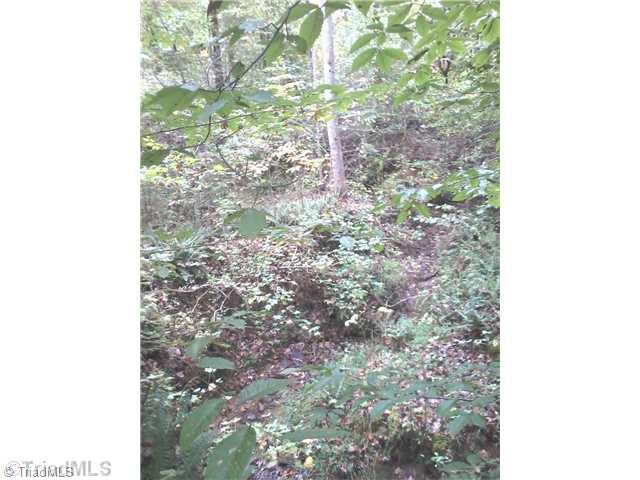 0 Iron Works Road Reidsville, NC 27320 - Photo 4 of 10 Land.