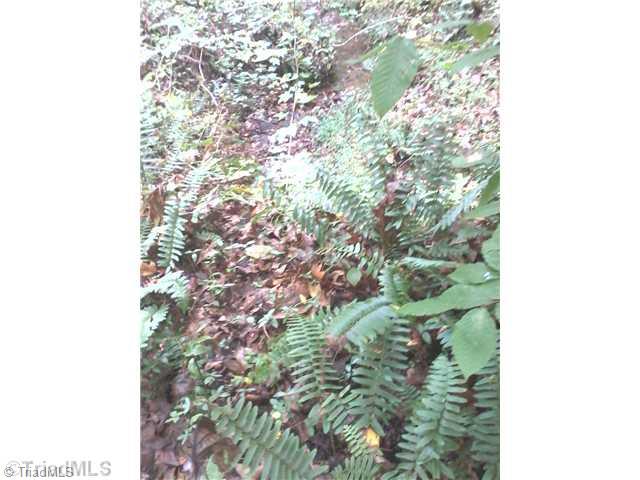 0 Iron Works Road Reidsville, NC 27320 - Photo 5 of 10 Land.