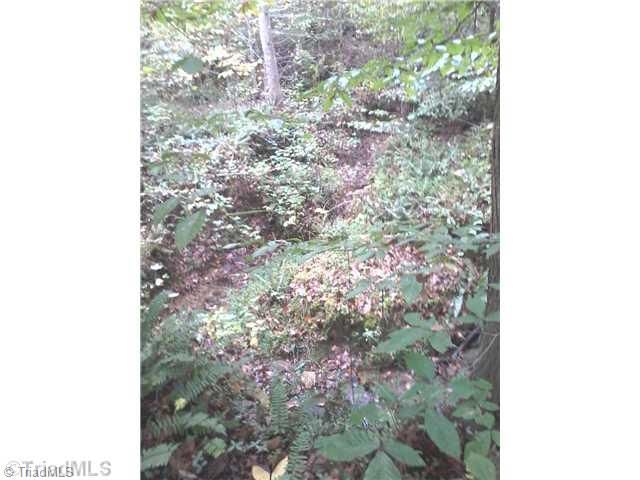 0 Iron Works Road Reidsville, NC 27320 - Photo 6 of 10 Land.